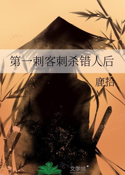 刺客排行榜第一名