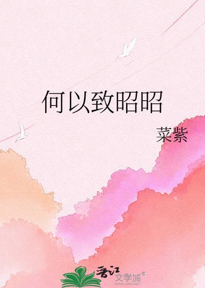 何以致昭昭全文阅读
