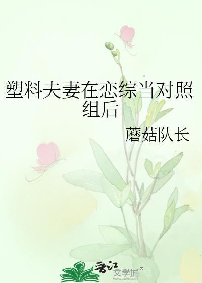 塑料夫妻了解一下最新章节