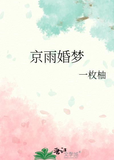 京雨婚梦附带番外百度