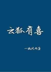 云狐集团简介