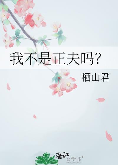 我不是正夫吗栖山君晋江