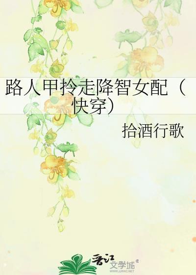 路人甲言情