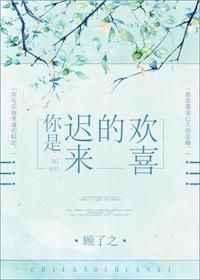 你是迟来的欢喜2026电视剧在线观看