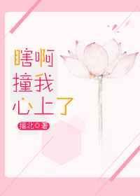 瞎撞子的意思