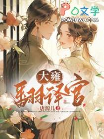 美女翻译官电视剧