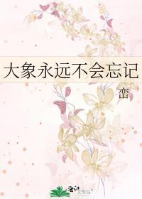 大象永远不会忘记峦TXT