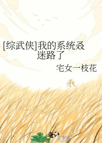 综武系统