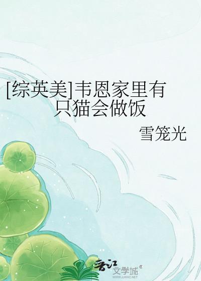 韦恩家的小蝙蝠崽综英美免费