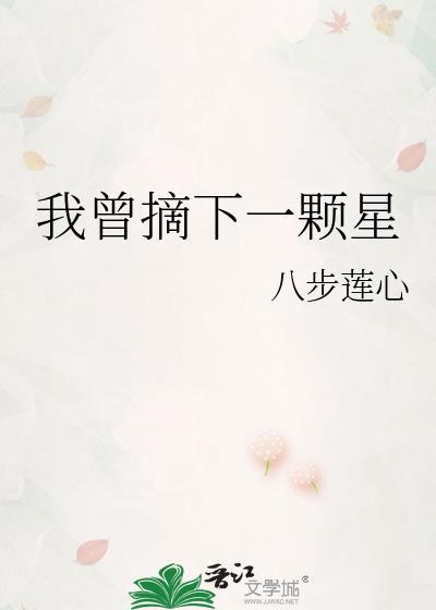 我曾摘下一颗星歌词