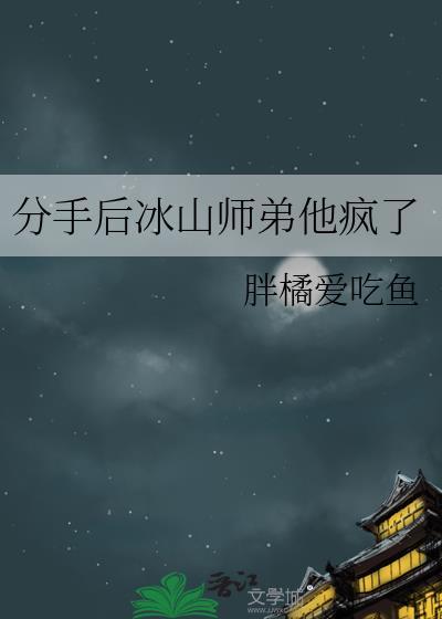 分手后冰山总裁追妻难
