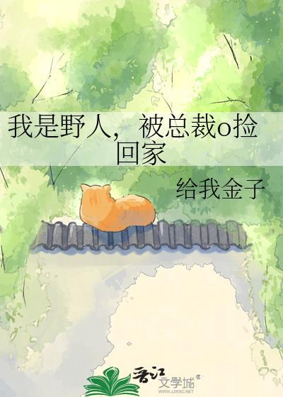 我是野男人