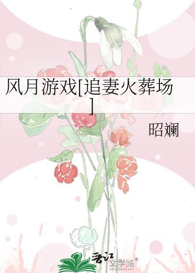 风月游戏其他名字