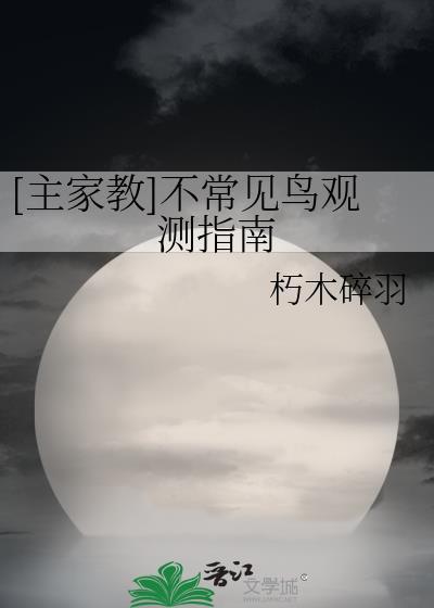 不常见的鸟类图片及名称