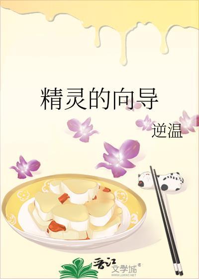 精灵的向导晋江