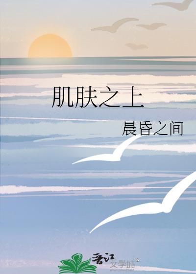肌肤之上晨昏之间免费阅读全文