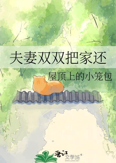夫妻双双把家还 原唱