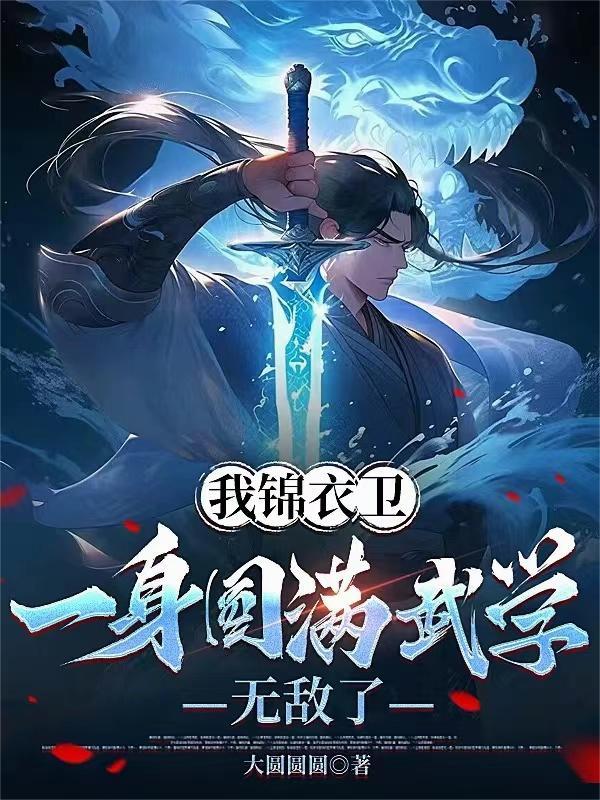 一身圆满武学无敌了