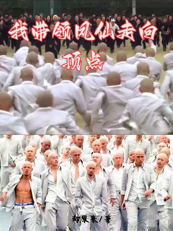 我带领凤仙走向顶点作文