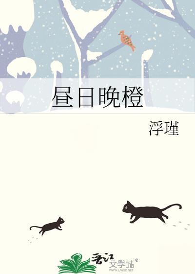 昼日晚橙by浮瑾免费阅读txt
