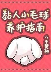 小毛球精选