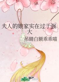 夫人的娘家实力太过强大