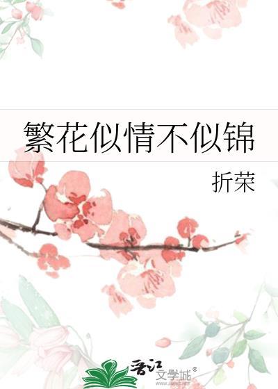 繁花似锦啥意思啊