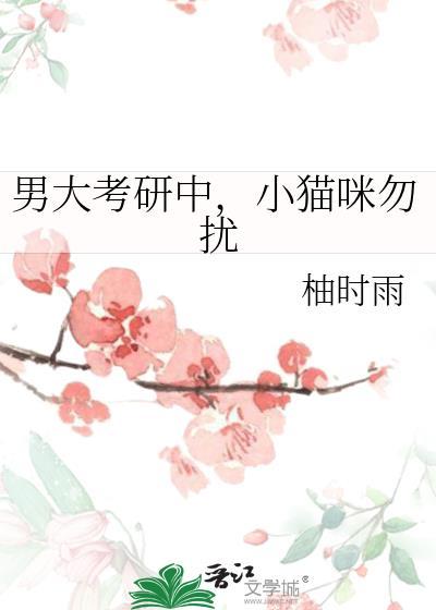 小猫咪勿扰