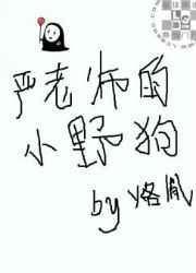 严老师阅读理解答案