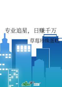 追星族怎么挣钱