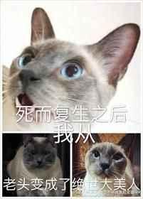 死而复生变成僵尸