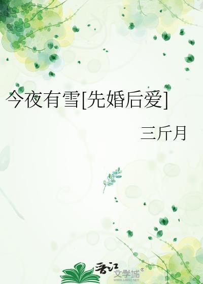 今夜有雪全文免费阅读