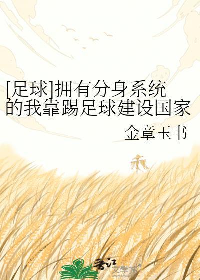 拥有分身系统的我靠踢足球txt