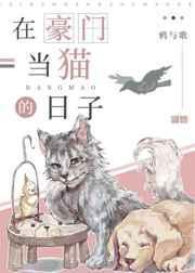 在豪门吸猫
