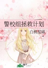 警校组壁纸