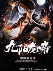 九阳帝霸