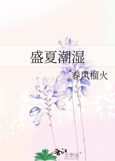 盛夏潮湿春风榴火讲的什么