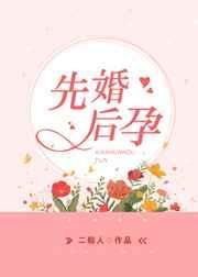 先孕后婚小說