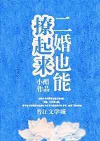 二婚也能宠起来