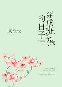 穿成漂亮班花