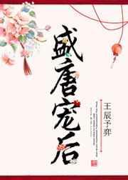 盛唐王爷免费阅读全文