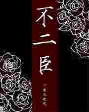 不二臣全集免费观看电视剧
