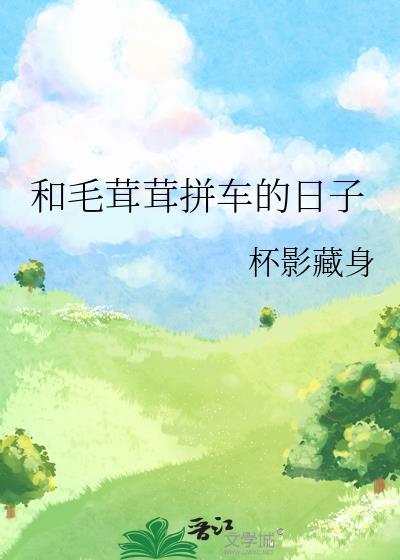 和毛绒绒拼车的日子
