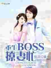 boss重生指南