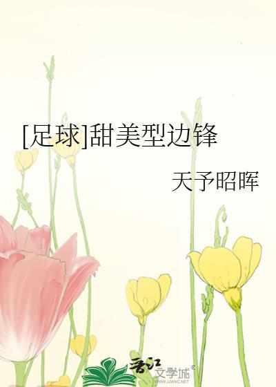 甜美型边锋全文TXT