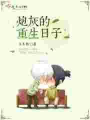 炮灰重生记