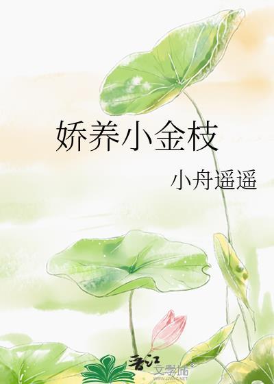 娇养小金枝百度