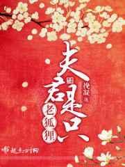 夫君是一条