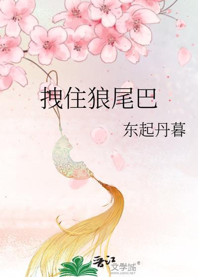 拽住狼尾吧免费阅读