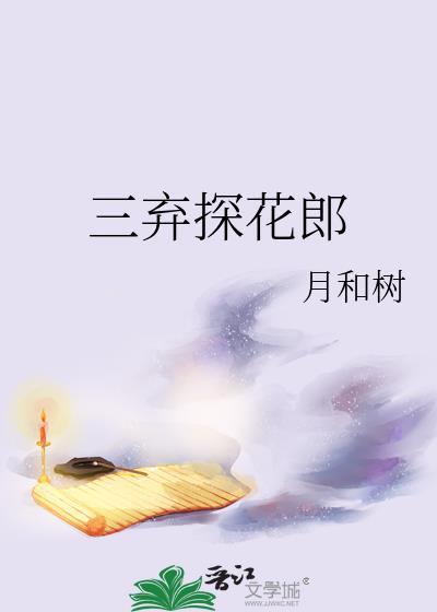 三弃探花郎晋江阅读